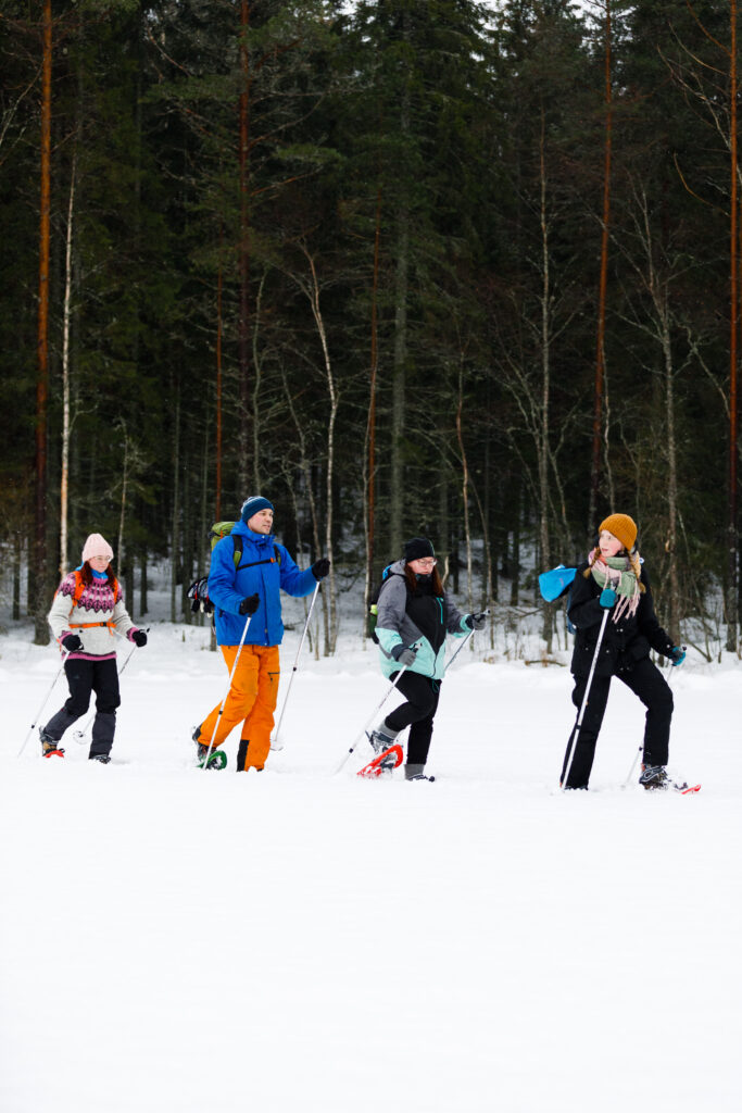 talvinen tyky päivä