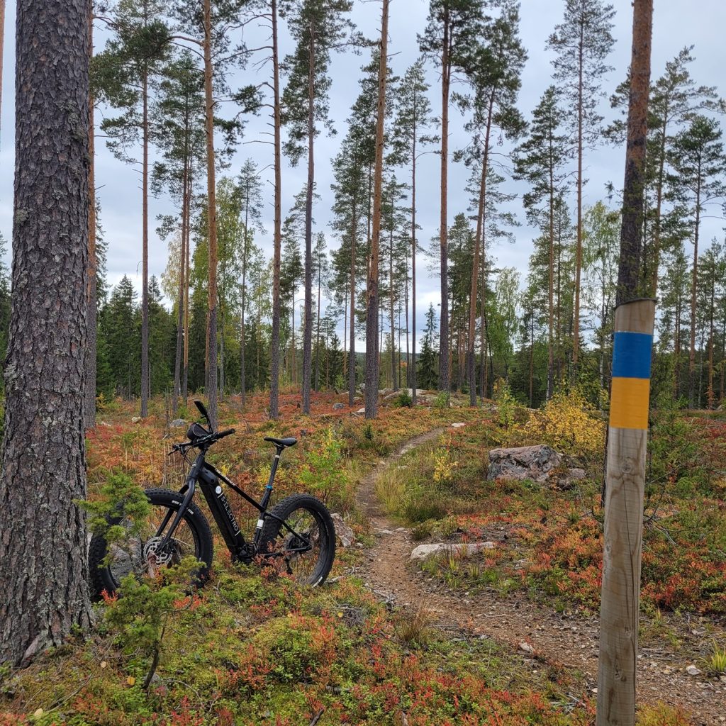 vuokraa e-fatbike