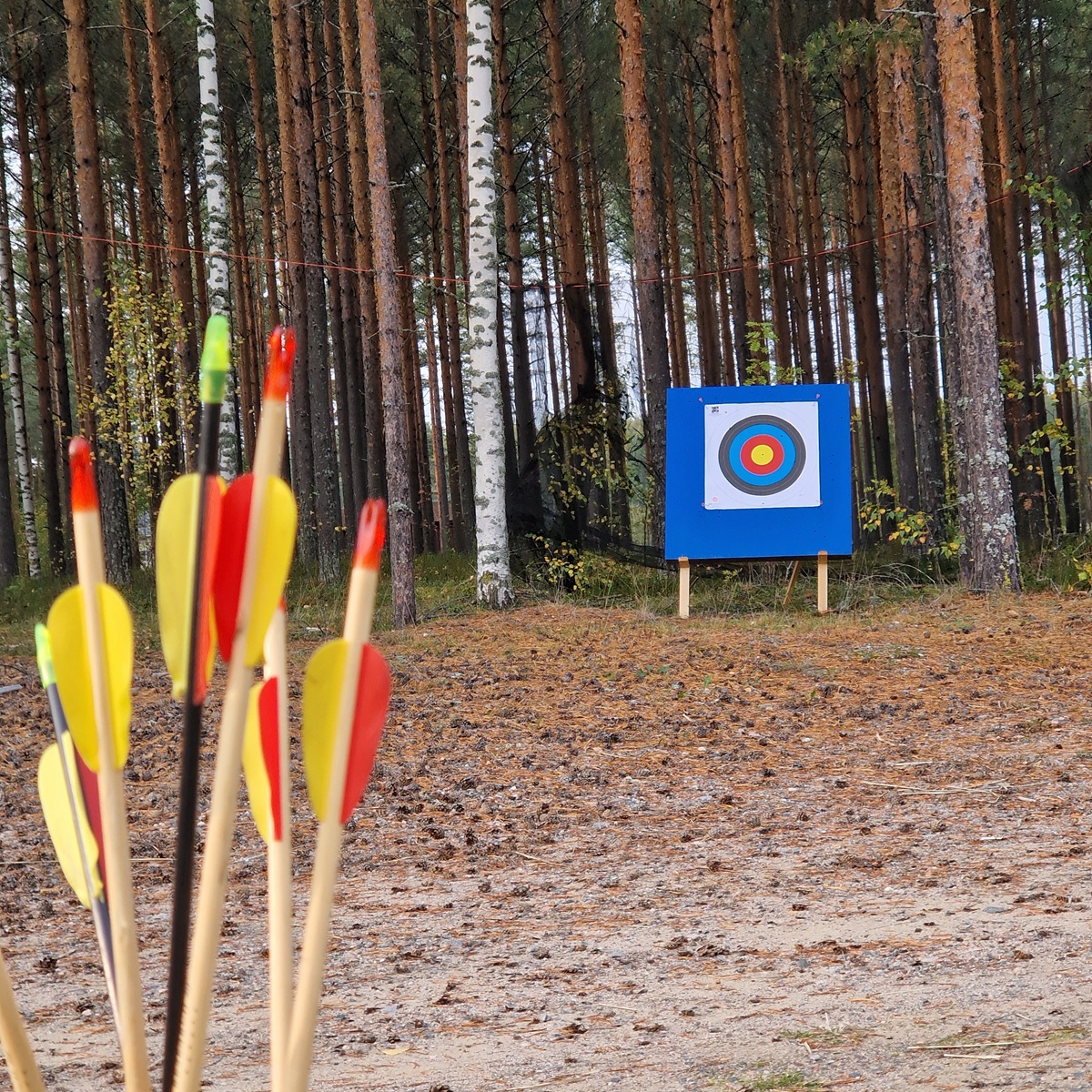 tarkkuuskisailu tyky-päivä