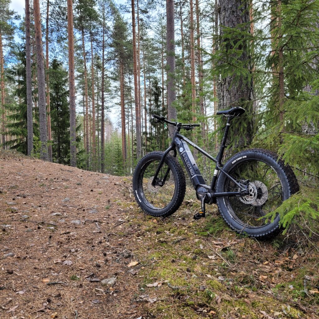 e-fatbike